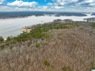 Spectacular Mountain-Top Lake Views on 34+ Acres! Wake up to - photo 22