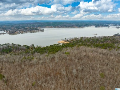 Spectacular Mountain-Top Lake Views on 34+ Acres! Wake up to - photo 23