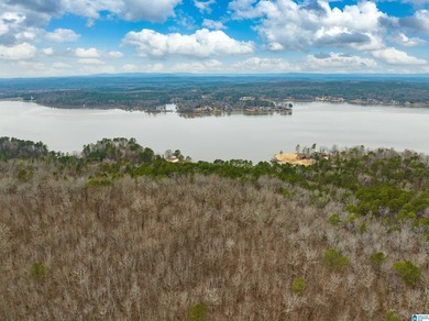 Spectacular Mountain-Top Lake Views on 34+ Acres! Wake up to - photo 24