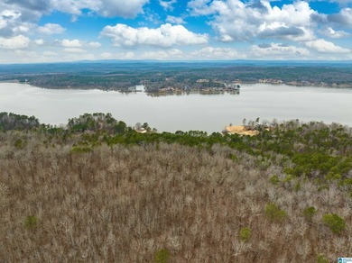 Spectacular Mountain-Top Lake Views on 34+ Acres! Wake up to - photo 25