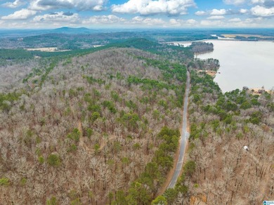 Spectacular Mountain-Top Lake Views on 34+ Acres! Wake up to - photo 27