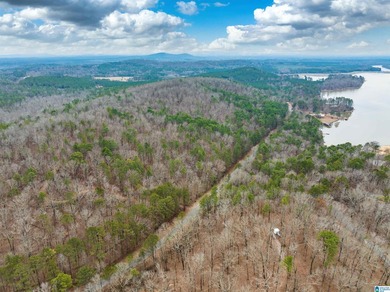 Spectacular Mountain-Top Lake Views on 34+ Acres! Wake up to - photo 28