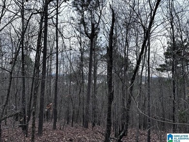 Spectacular Mountain-Top Lake Views on 34+ Acres! Wake up to - photo 30