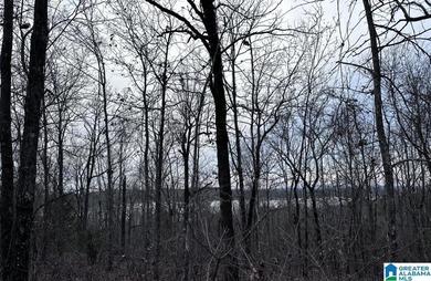 Spectacular Mountain-Top Lake Views on 34+ Acres! Wake up to - photo 31