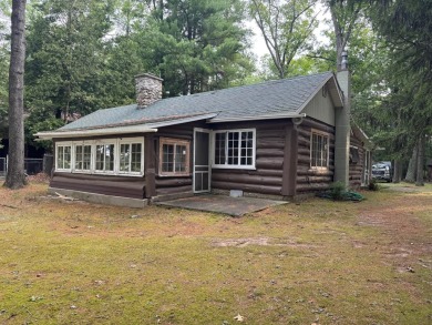 Lake Home For Sale in Bitely, Michigan