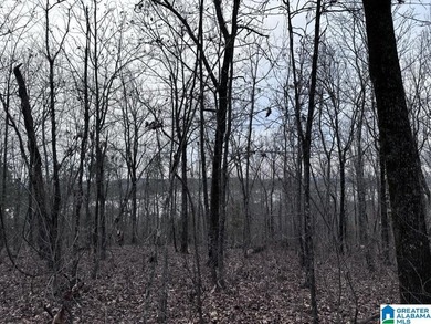 Spectacular Mountain-Top Lake Views on 34+ Acres! Wake up to - photo 32