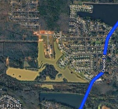 A rare opportunity to own approximately 44.98 (+/-) acres - photo 3