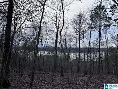 Spectacular Mountain-Top Lake Views on 34+ Acres! Wake up to - photo 33