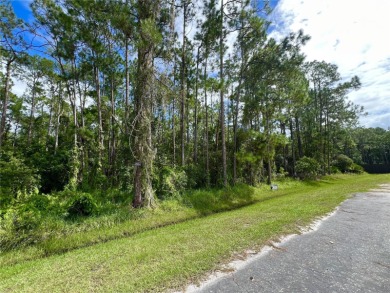 Lake Lot For Sale in Orlando, Florida