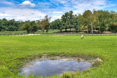 MOTIVATED SELLER! Beautiful Aiken County farm featuring 3BD/2BA - photo 32