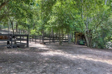 MOTIVATED SELLER! Beautiful Aiken County farm featuring 3BD/2BA - photo 33