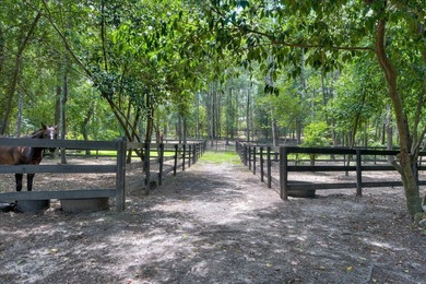 MOTIVATED SELLER! Beautiful Aiken County farm featuring 3BD/2BA - photo 34
