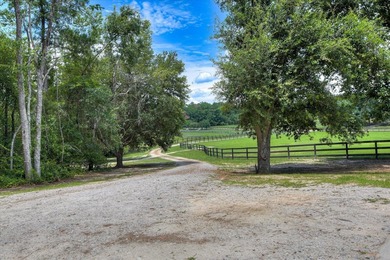 MOTIVATED SELLER! Beautiful Aiken County farm featuring 3BD/2BA - photo 36