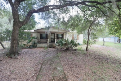 Little Lake Kerr Home For Sale in Salt Springs Florida