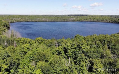 Wildwood Lake - Iron County Acreage Sale Pending in Iron River Michigan