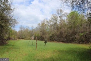 The Jefferson Place is located on Hwy 137, just west of Buena - photo 11