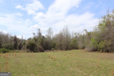 The Jefferson Place is located on Hwy 137, just west of Buena - photo 12