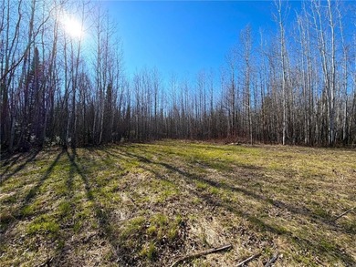 Seller financing is available with a Contract for Deed. Located - photo 23