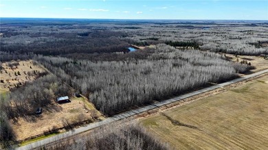 Seller financing is available with a Contract for Deed. Located - photo 33