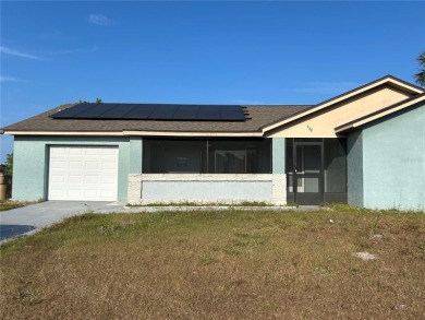 (private lake, pond, creek) Home For Sale in Kissimmee Florida