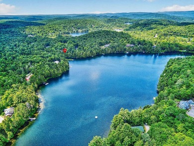 Residence contemporaine au bord de l'eau sur le lac Cupidon! Ce - photo 3