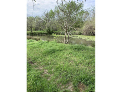 Beautiful 5.833 acres between North Hopkins Elementary and 154 - photo 11