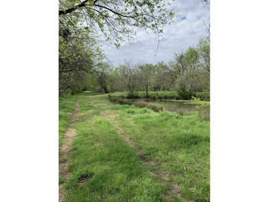 Beautiful 5.833 acres between North Hopkins Elementary and 154 - photo 12