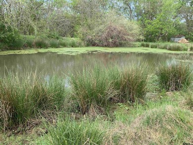 Beautiful 5.833 acres between North Hopkins Elementary and 154 - photo 13