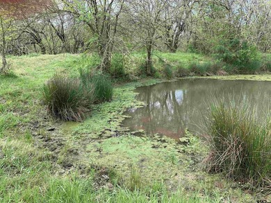 Beautiful 5.833 acres between North Hopkins Elementary and 154 - photo 14