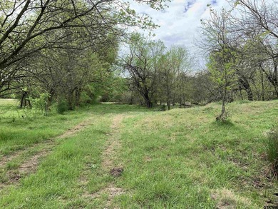 Beautiful 5.833 acres between North Hopkins Elementary and 154 - photo 15