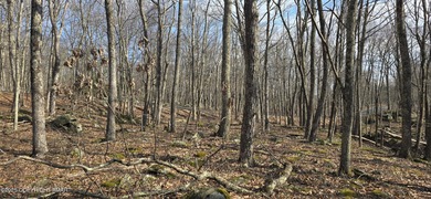 Conashaugh Lake Lot For Sale in Milford Pennsylvania