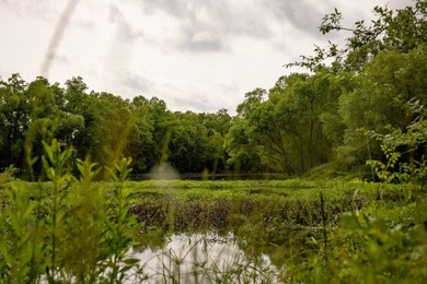 Hunting land for sale in Claiborne County, Mississippi. This - photo 2