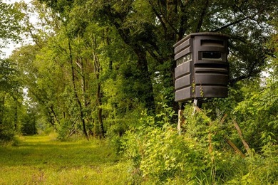 Hunting land for sale in Claiborne County, Mississippi. This - photo 3