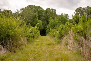 Hunting land for sale in Claiborne County, Mississippi. This - photo 10