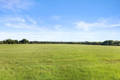 Welcome to 228 extraordinary acres in the heart of Whitesboro - photo 14