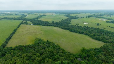 Welcome to 228 extraordinary acres in the heart of Whitesboro - photo 15