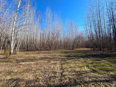 Seller financing is available with a Contract for Deed. Located - photo 17