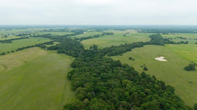 Welcome to 228 extraordinary acres in the heart of Whitesboro - photo 19