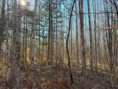 Seller financing is available with a Contract for Deed. Located - photo 19