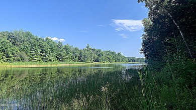 Long Bow Lake  Lot For Sale in Becket Massachusetts