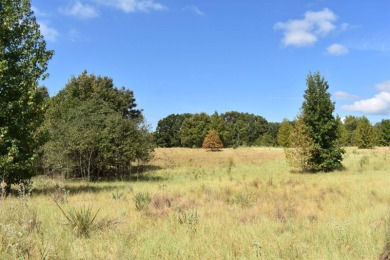 Lake Acreage For Sale in Sawyer, Oklahoma