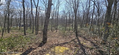 Conashaugh Lake Lot For Sale in Milford Pennsylvania