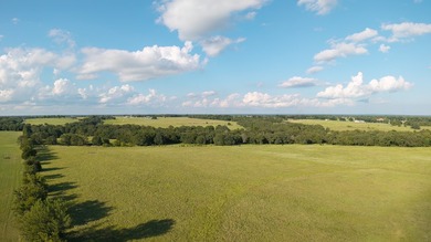 Welcome to 228 extraordinary acres in the heart of Whitesboro - photo 33