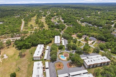 Welcome to easy, maintenance-free living in desirable Cypress - photo 33