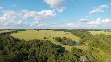 Welcome to 228 extraordinary acres in the heart of Whitesboro - photo 34