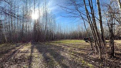 Seller financing is available with a Contract for Deed. Located - photo 37