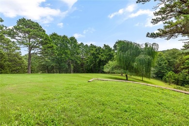Close to Beaver Lake and Rocky Branch Marina, only 15 minutes to - photo 43