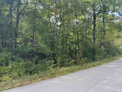 (private lake, pond, creek) Acreage For Sale in Charleston Maine