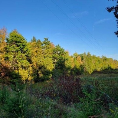 Lake Acreage For Sale in Medway, Maine