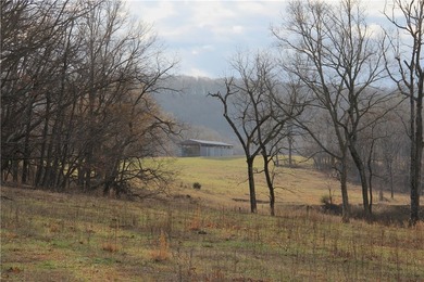 Welcome to this remarkable 275 +/- acre farm offering a rare - photo 3